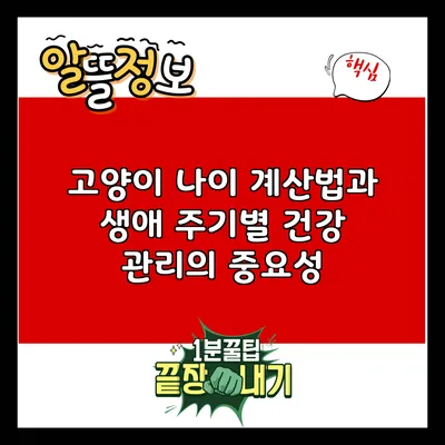 고양이 나이 계산법과 생애 주기별 건강 관리의 중요성
