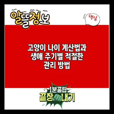 고양이 나이 계산법과 생애 주기별 적절한 관리 방법