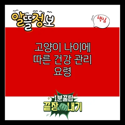 고양이 나이에 따른 건강 관리 요령