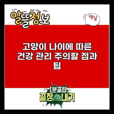 고양이 나이에 따른 건강 관리: 주의할 점과 팁