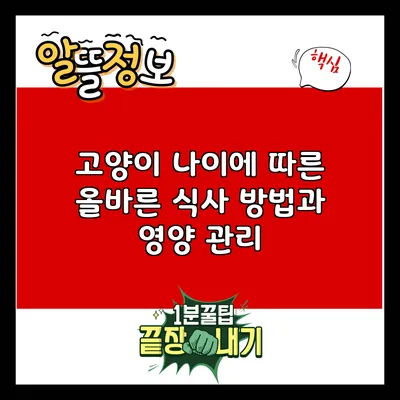 고양이 나이에 따른 올바른 식사 방법과 영양 관리