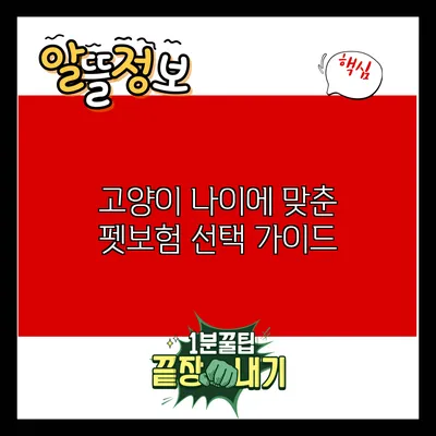 고양이 나이에 맞춘 펫보험 선택 가이드