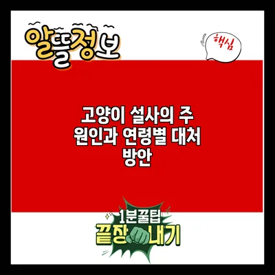 고양이 설사의 주 원인과 연령별 대처 방안