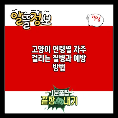 고양이 연령별 자주 걸리는 질병과 예방 방법
