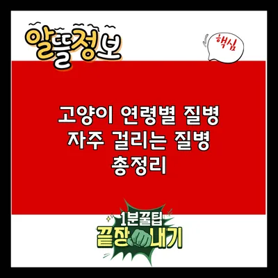 고양이 연령별 질병: 자주 걸리는 질병 총정리