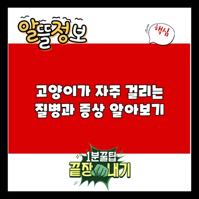 고양이가 자주 걸리는 질병과 증상 알아보기