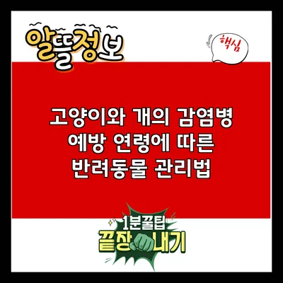 고양이와 개의 감염병 예방: 연령에 따른 반려동물 관리법