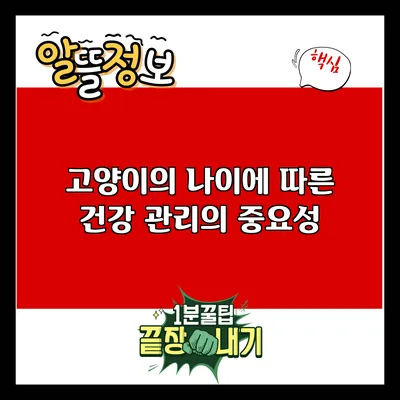 고양이의 나이에 따른 건강 관리의 중요성