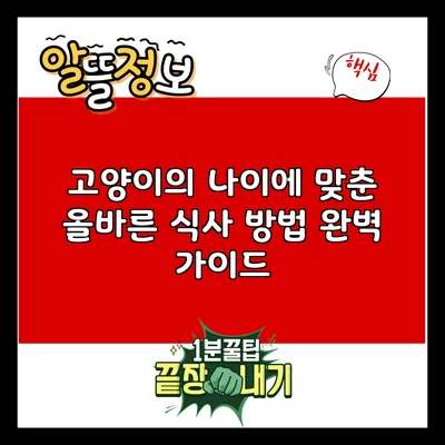 고양이의 나이에 맞춘 올바른 식사 방법 완벽 가이드