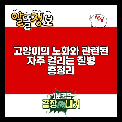 고양이의 노화와 관련된 자주 걸리는 질병 총정리