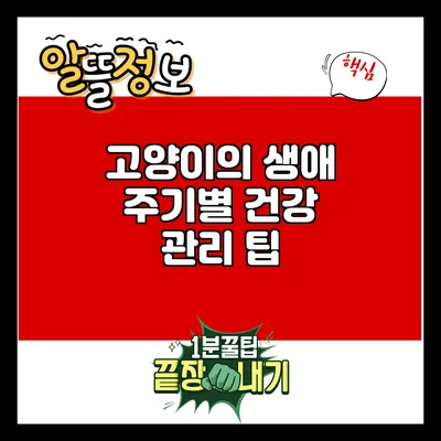 고양이의 생애 주기별 건강 관리 팁