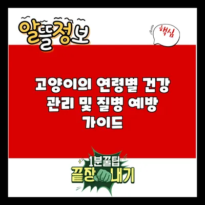 고양이의 연령별 건강 관리 및 질병 예방 가이드