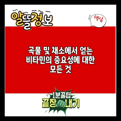 곡물 및 채소에서 얻는 비타민의 중요성에 대한 모든 것