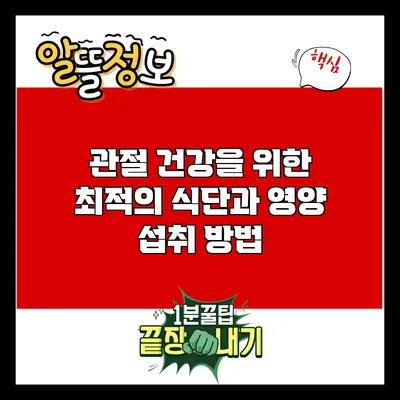 관절 건강을 위한 최적의 식단과 영양 섭취 방법