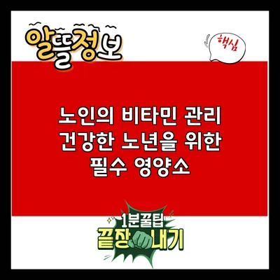 노인의 비타민 관리: 건강한 노년을 위한 필수 영양소