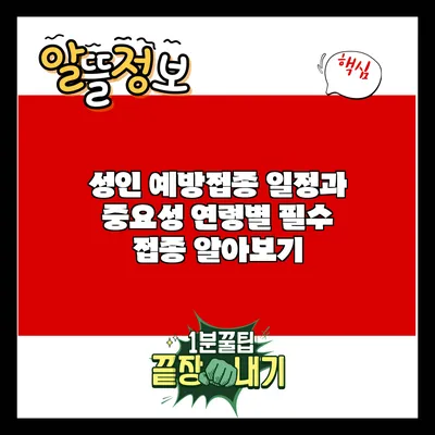 성인 예방접종 일정과 중요성: 연령별 필수 접종 알아보기