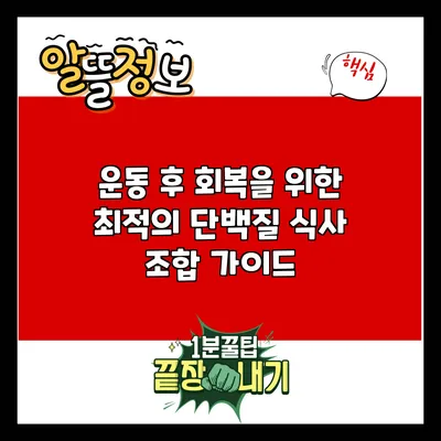 운동 후 회복을 위한 최적의 단백질 식사 조합 가이드