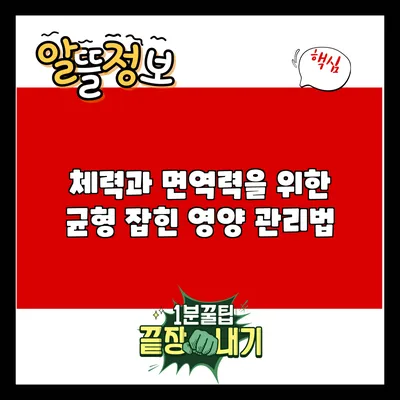 체력과 면역력을 위한 균형 잡힌 영양 관리법