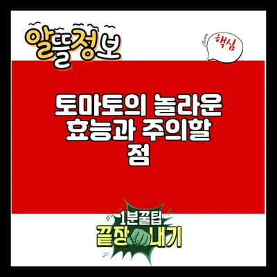 토마토의 놀라운 효능과 주의할 점