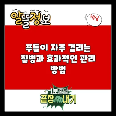푸들이 자주 걸리는 질병과 효과적인 관리 방법