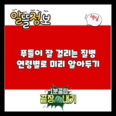 푸들이 잘 걸리는 질병: 연령별로 미리 알아두기